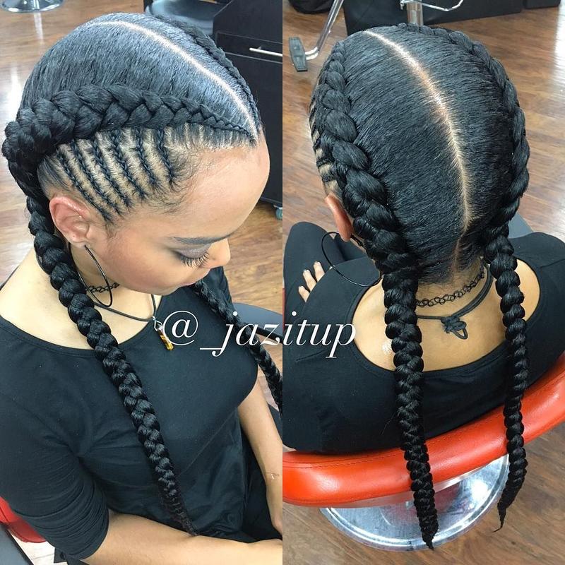 2 Braids Hairstyle