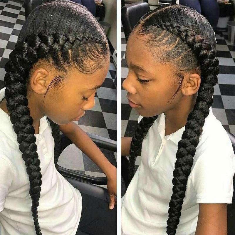 2 braids hairstyles