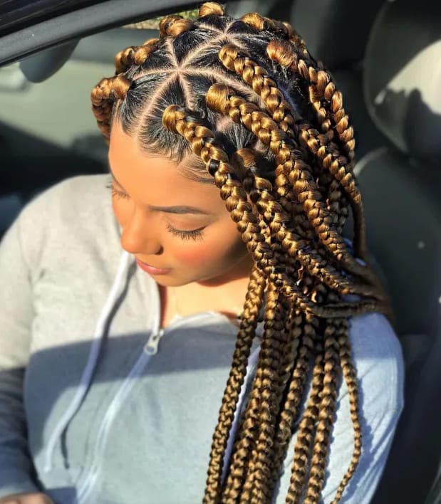 2 Braids Hairstyles