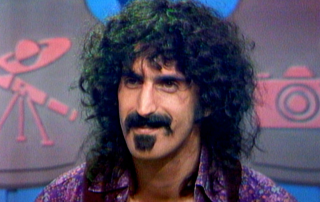 Frank Zappa Wig