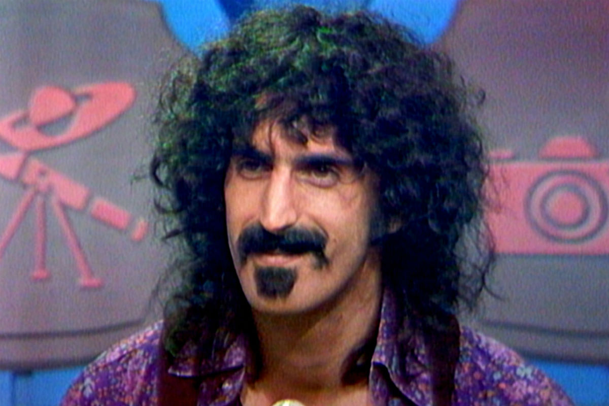 Frank Zappa Wig